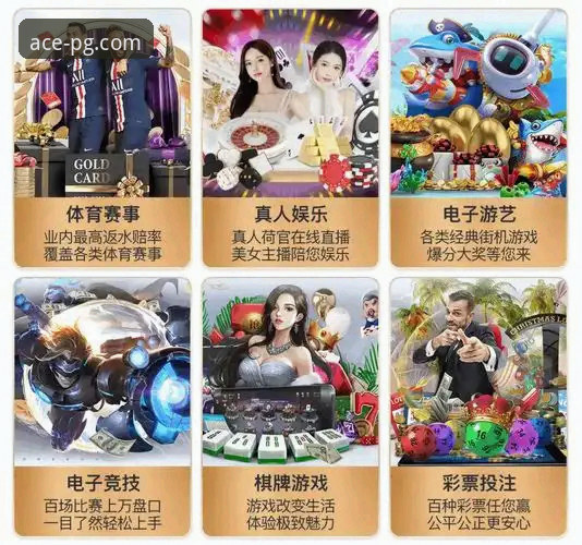 PG娱乐电脑版 PG娱乐平台电脑版体验全面升级,资深用户分享最新使用心得